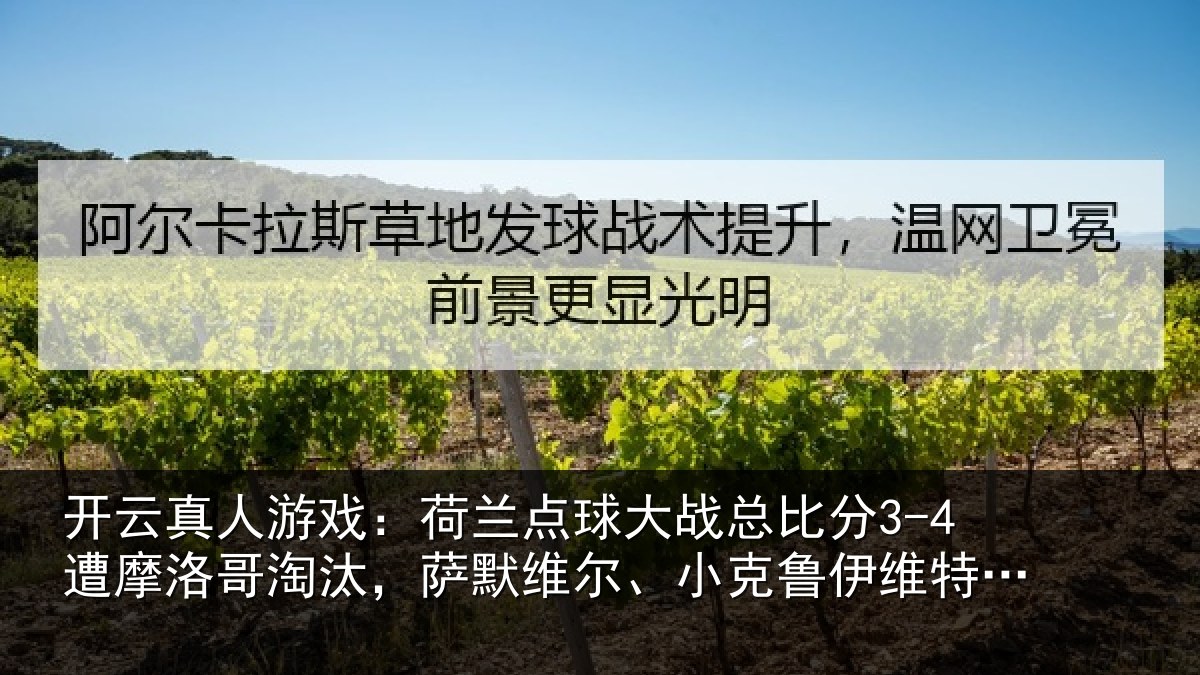 开云真人游戏:荷兰相关情况摩洛相关情况克鲁伊维特丢点